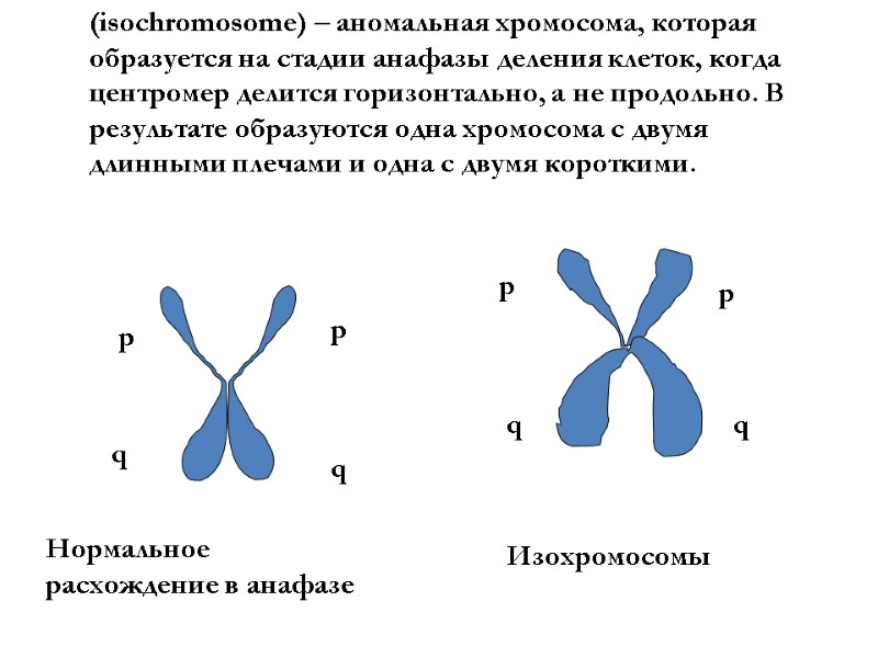 p q p q p q p q Нормальное расхождение в анафазе Изохромосомы 